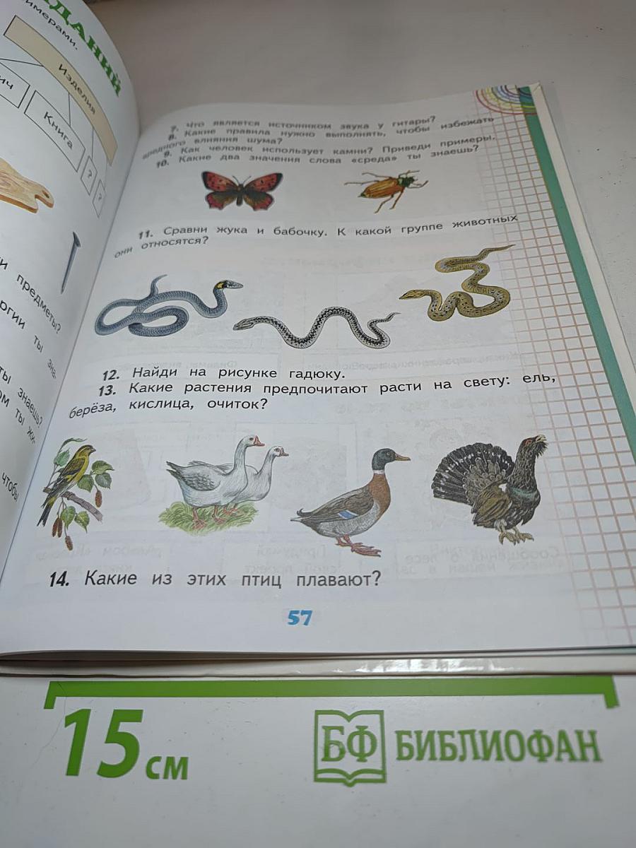 Окружающий мир 2 класс Часть 2