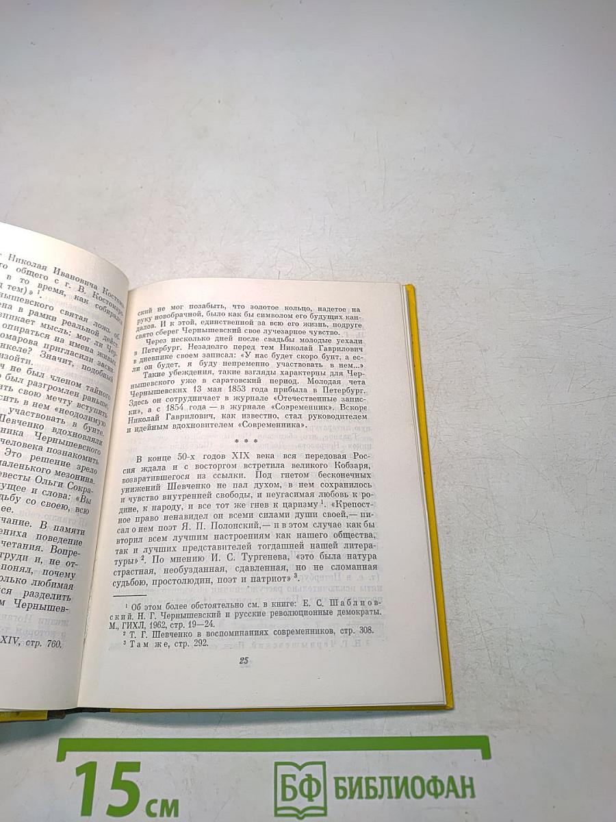 Н. Г. Чернышевский и Т. Г. Шевченко. Их современники