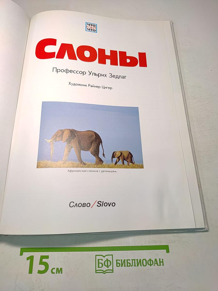 Слоны