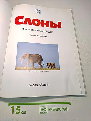 Слоны