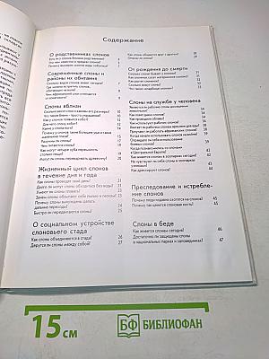 Слоны