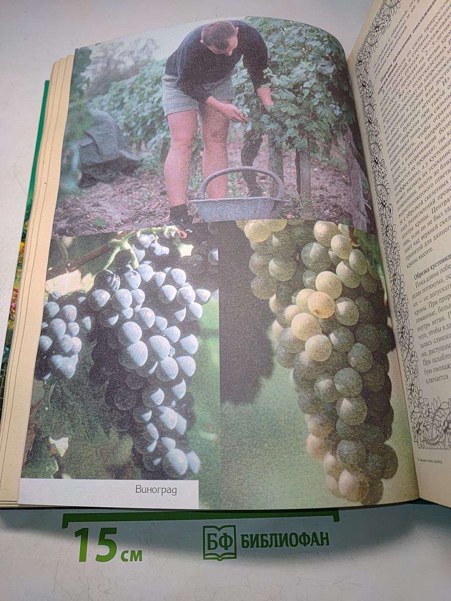 Большая книга дачника