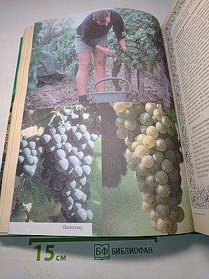 Большая книга дачника