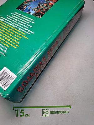 Большая книга дачника