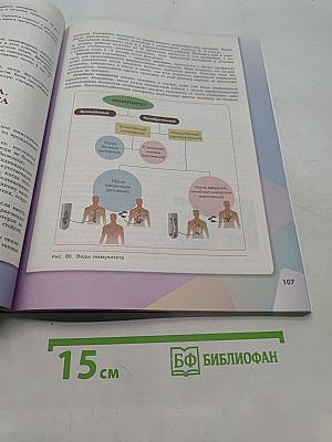 Биология 8 класс