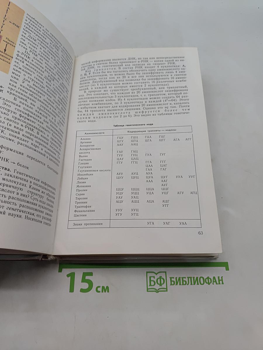 Общая биология. Учебник для 10-11 классов общеобразовательных учреждений