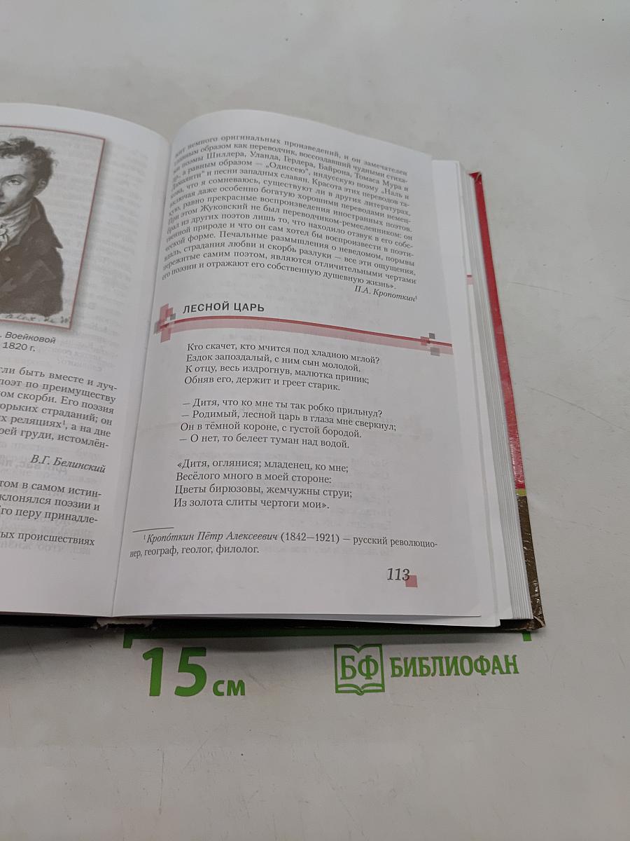 Литература. Учебник для 8 класса общеобразовательных организаций. Часть 1