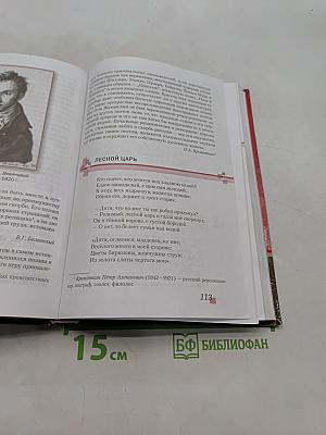 Литература. Учебник для 8 класса общеобразовательных организаций. Часть 1