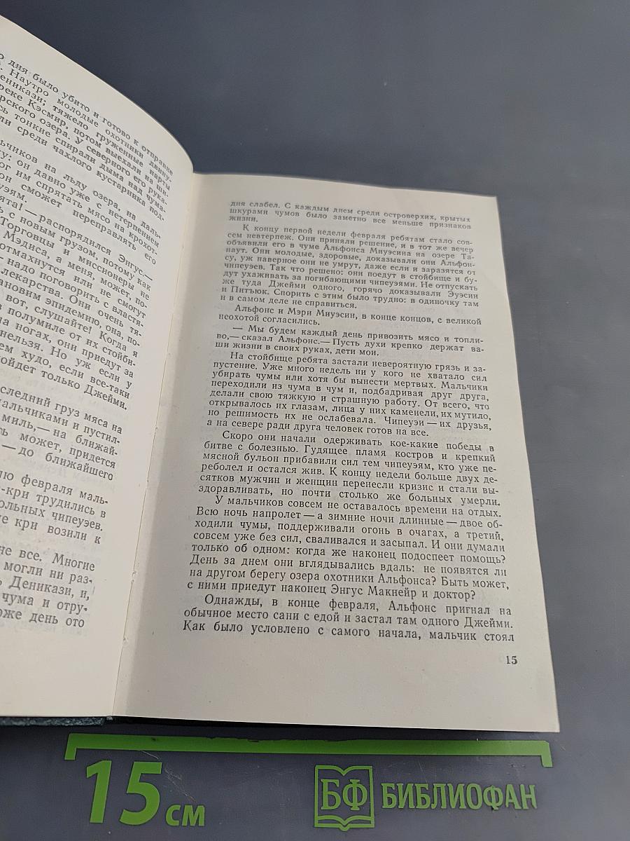 Проклятие могилы викинга