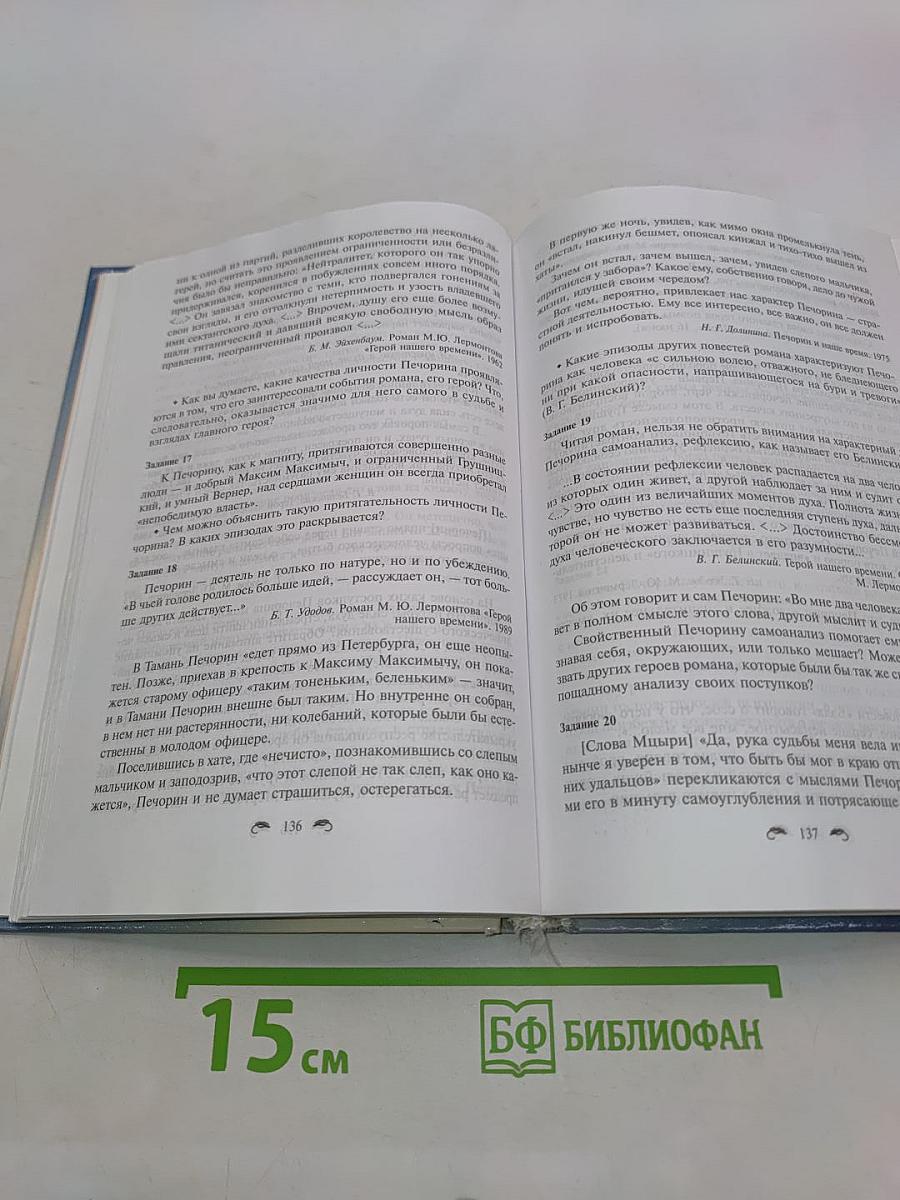 Русская литература XIX века. 10 класс. Учебник-практикум