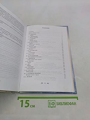 Русская литература XIX века. 10 класс. Учебник-практикум