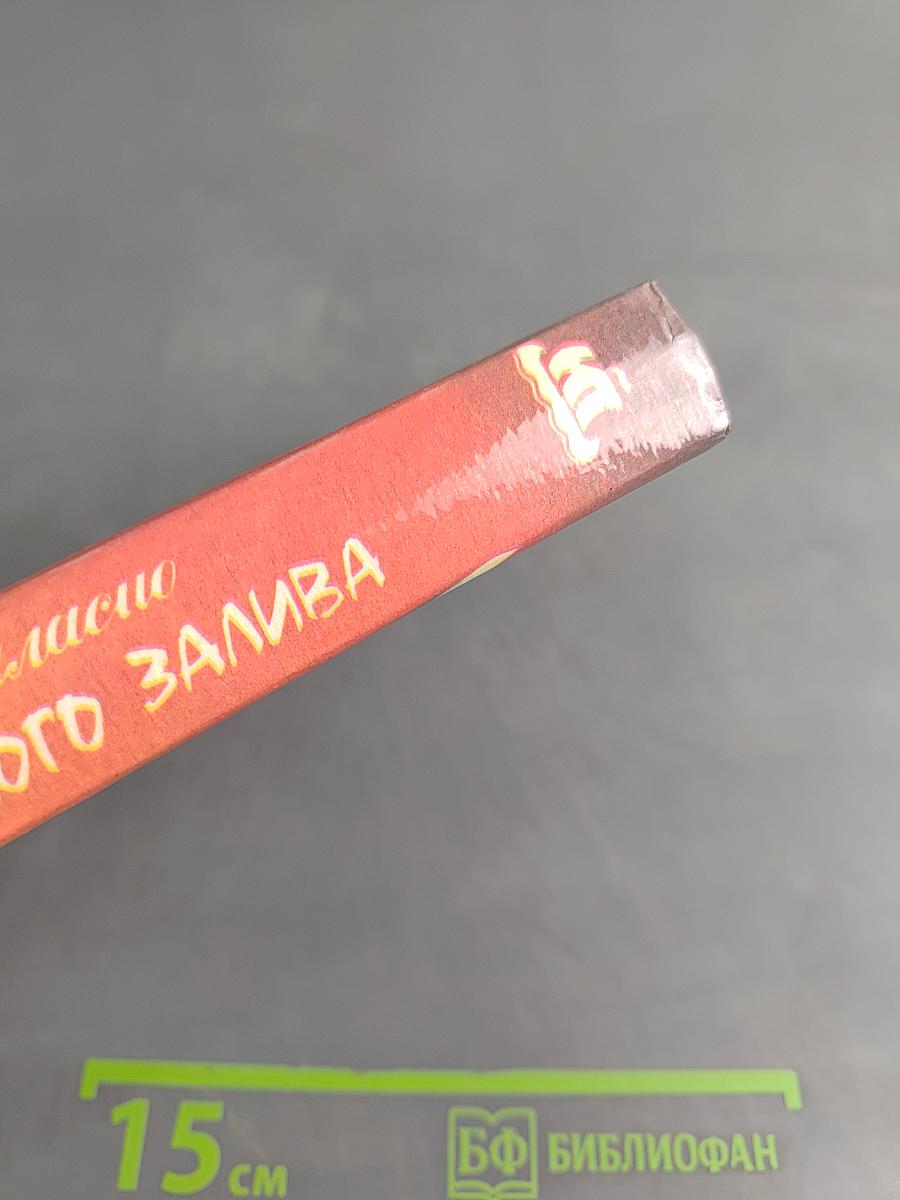 Пираты Мексиканского залива