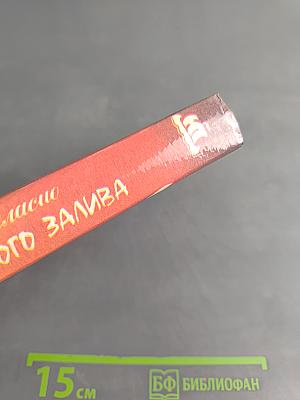 Пираты Мексиканского залива