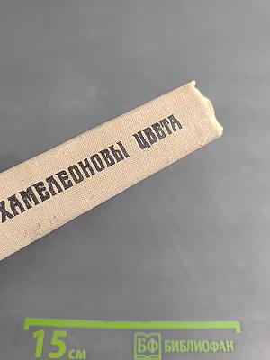 Хамелеоновы цвета