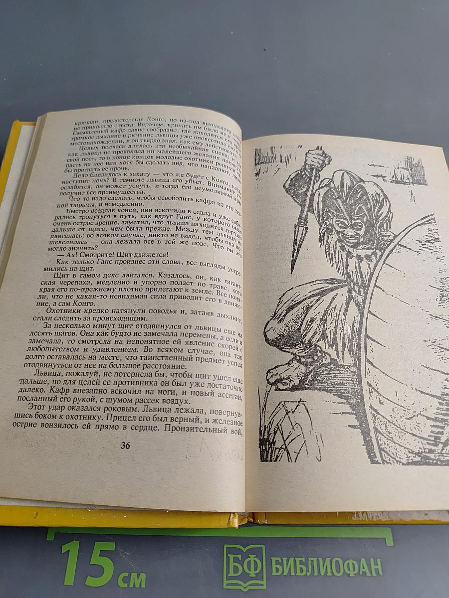Юные охотники, или Приключения в Южной Африке. Смертельный выстрел