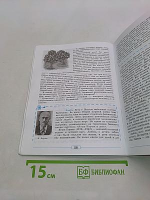 Обществознание 8 класс