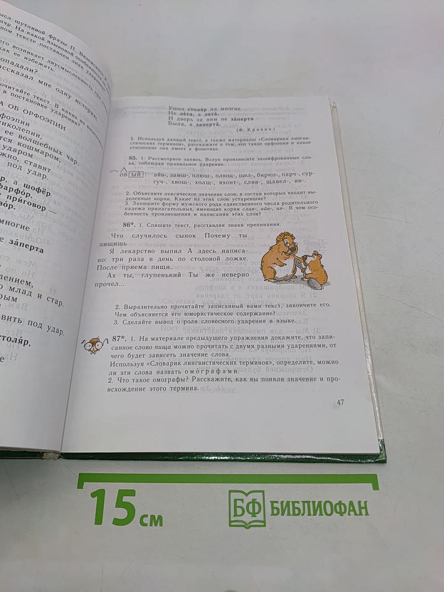 За страницами школьного учебника. Русский язык. 5 класс. Пособие для учащихся