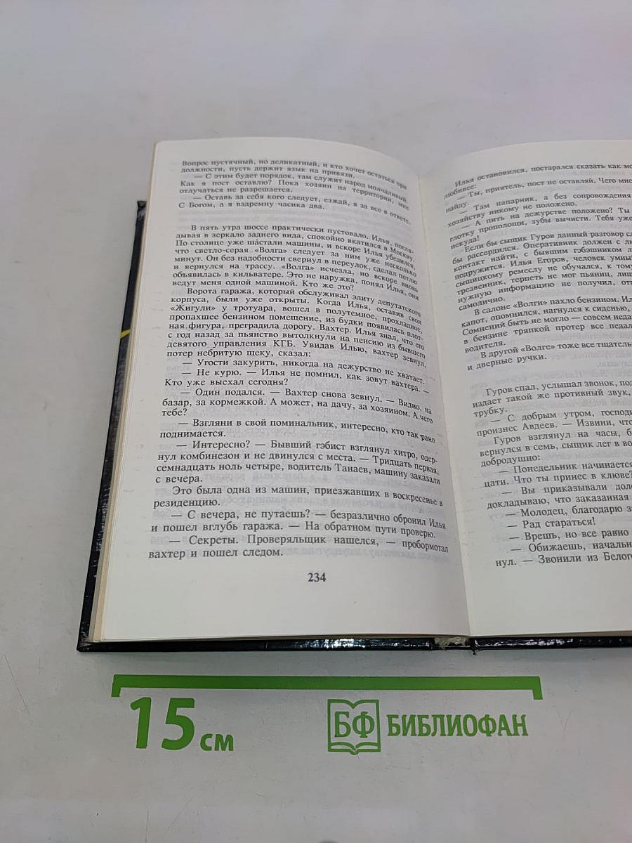 Наемный убийца. Кровь алая