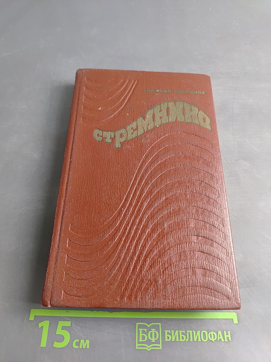 Стремянная. Роман
