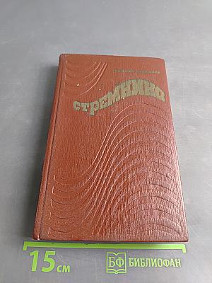 Стремянная. Роман