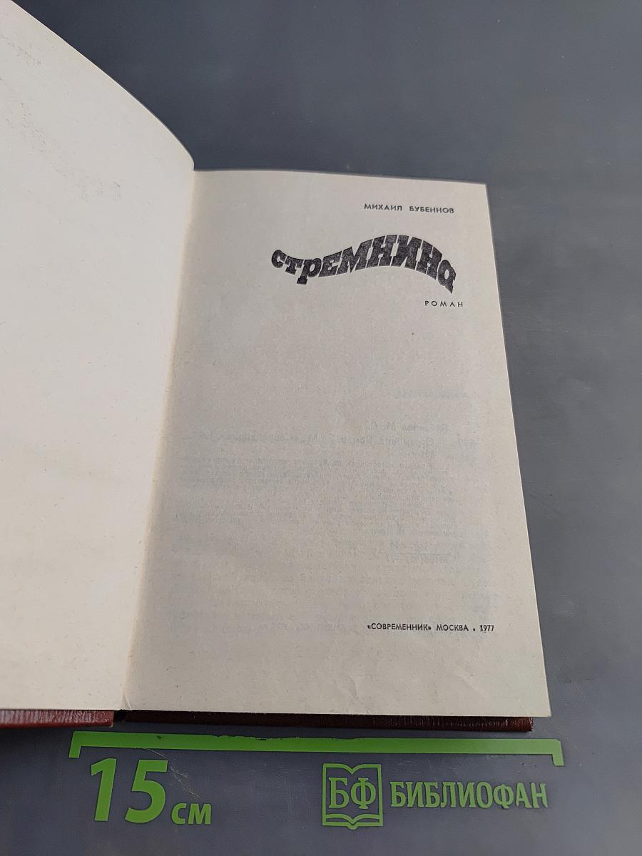 Стремянная. Роман