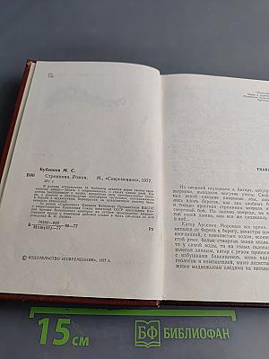 Стремянная. Роман