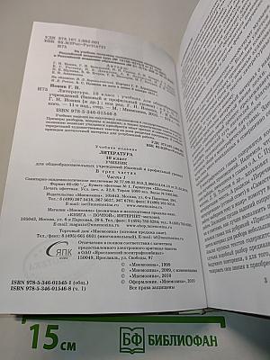 Литература 10 класс Часть 1