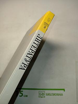 Литература 9 класс Часть 3