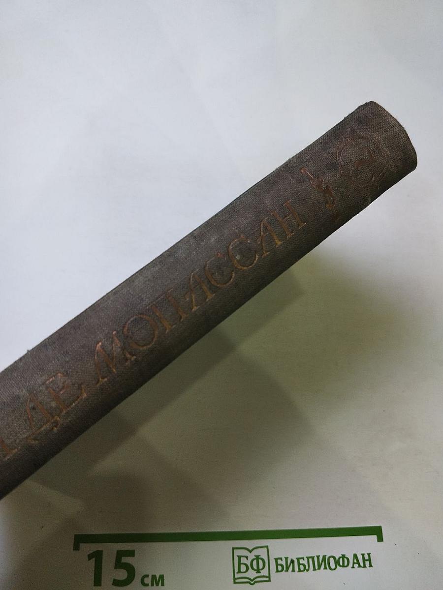 Полное собрание сочинений. Том VIII. Господин Паран. Маленькая Рок. Орля