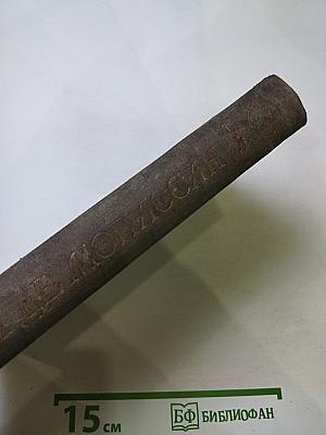 Полное собрание сочинений. Том VIII. Господин Паран. Маленькая Рок. Орля