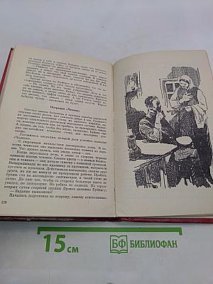 Под именем Шмидхена. Издание второе, дополненное