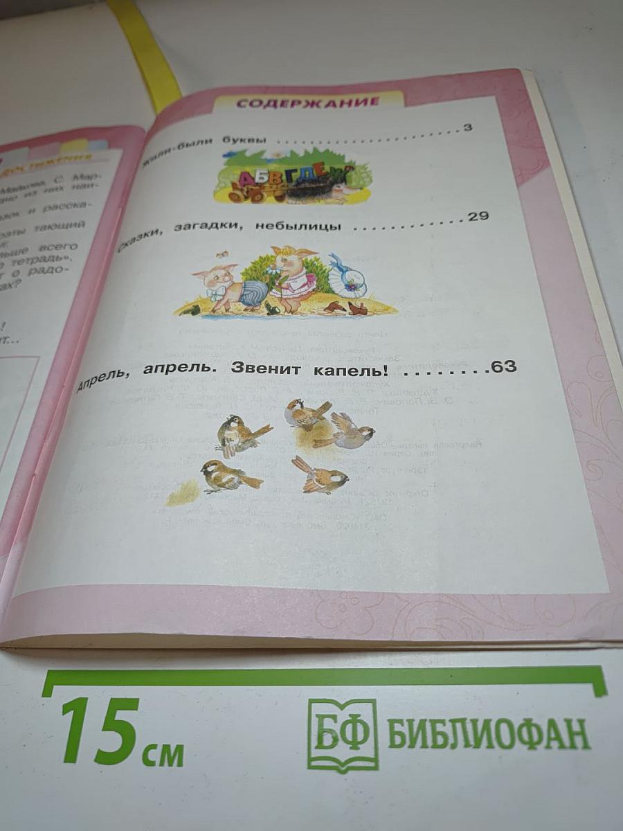 Литературное чтение. 1 класс. Часть 1