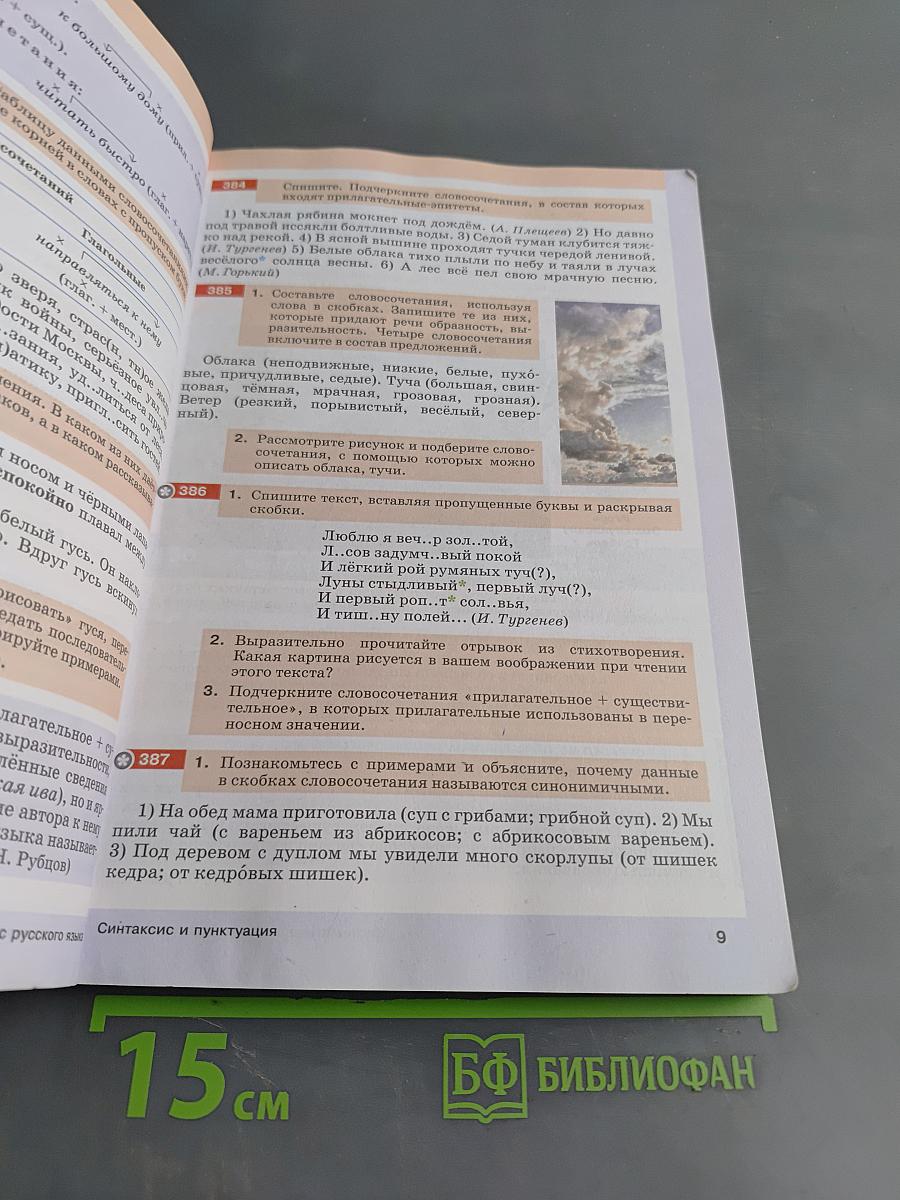 Русский язык. Часть II