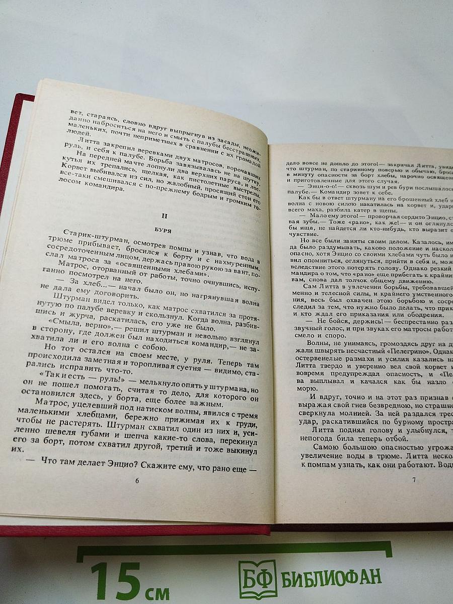 Мальтийская цепь. Яшма и Паладин. Слуга императора Павла