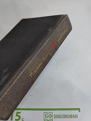 Посевы бури. Повесть о Яне Райнисе