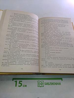 Виконт де Бражелон, или Десять лет спустя. Части III-IV