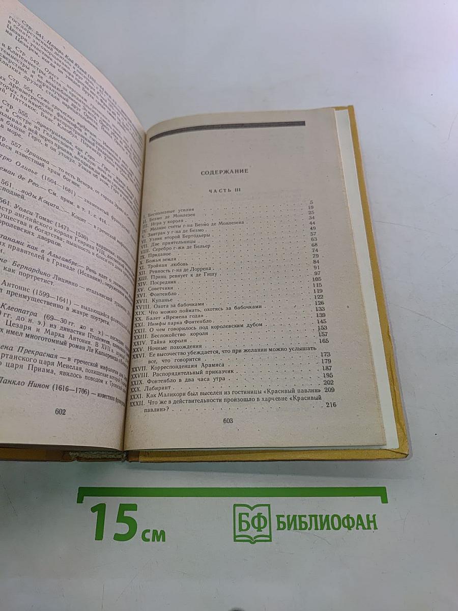 Виконт де Бражелон, или Десять лет спустя. Части III-IV