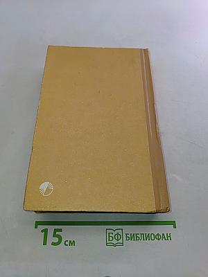 Виконт де Бражелон, или Десять лет спустя. Части III-IV