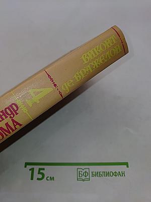 Виконт де Бражелон, или Десять лет спустя. Части III-IV