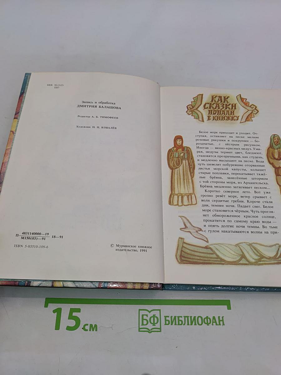 Птичка Железный нос, Деревянный хвост