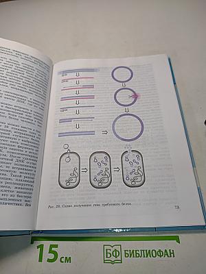 Биология. Общая биология. Учебник для 10-11 классов общеобразовательных учреждений. Базовый уровень