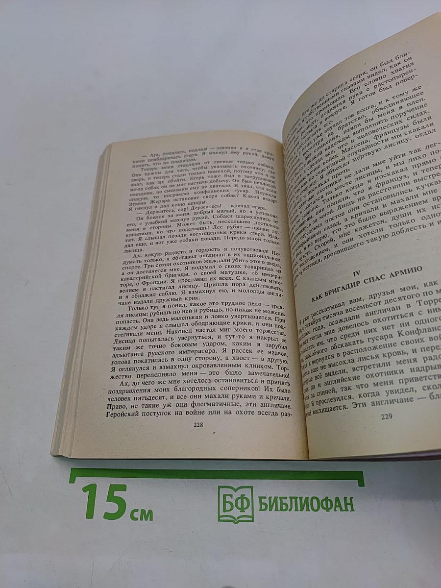 Подвиги и приключения бригадира Жерара