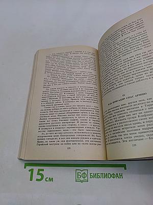 Подвиги и приключения бригадира Жерара