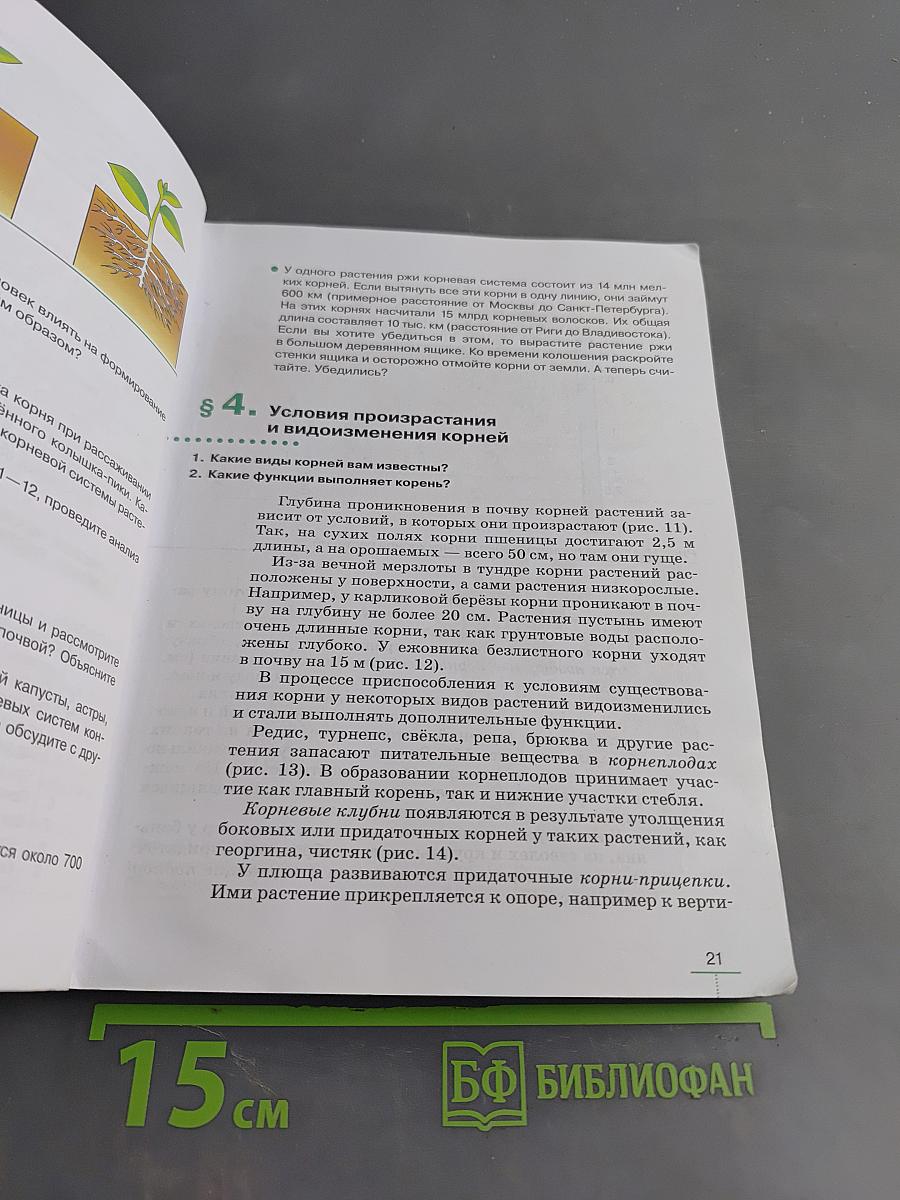 Биология. Многообразие покрытосеменных растений. Учебное пособие. 6 класс