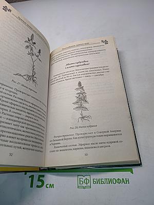 Пряные травы для здоровья и долголетия