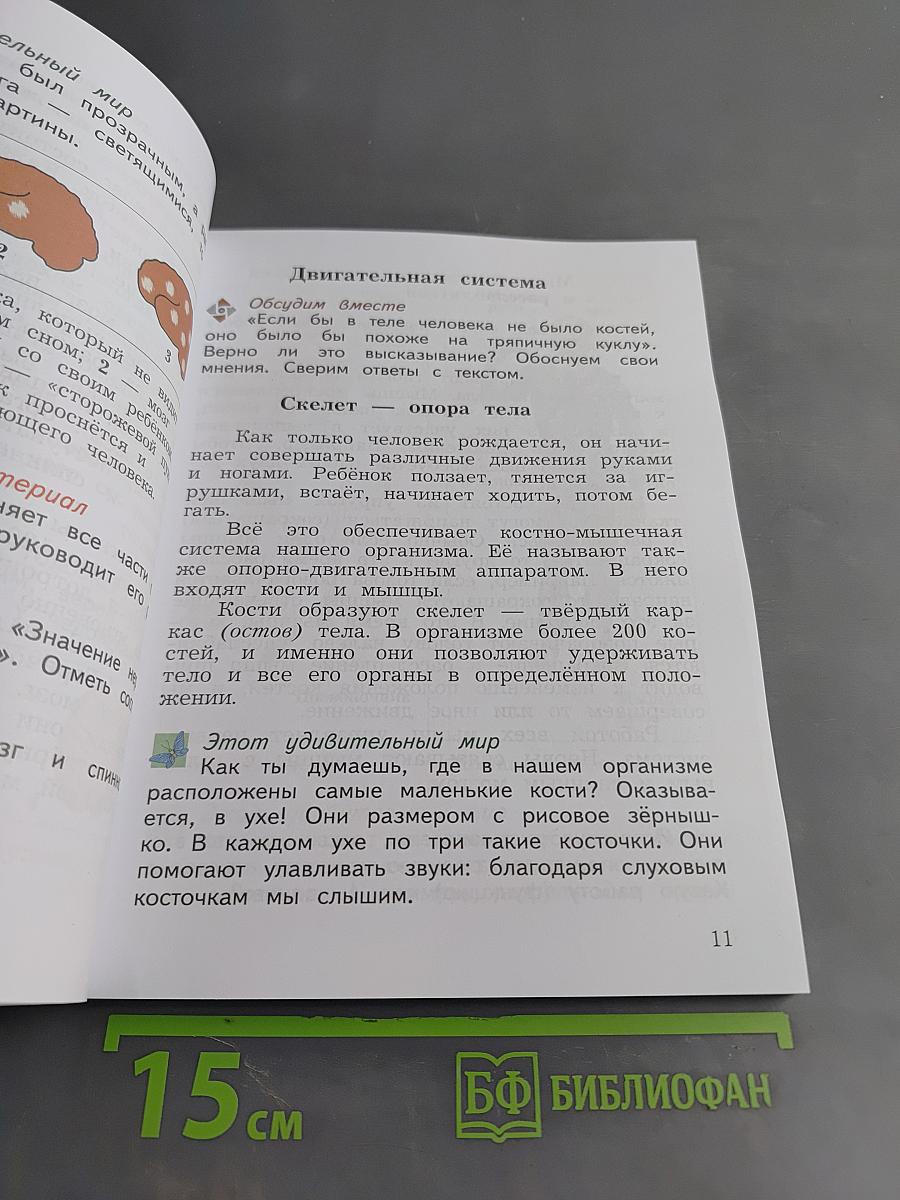 Окружающий мир. Учебник. 4 класс. Часть первая