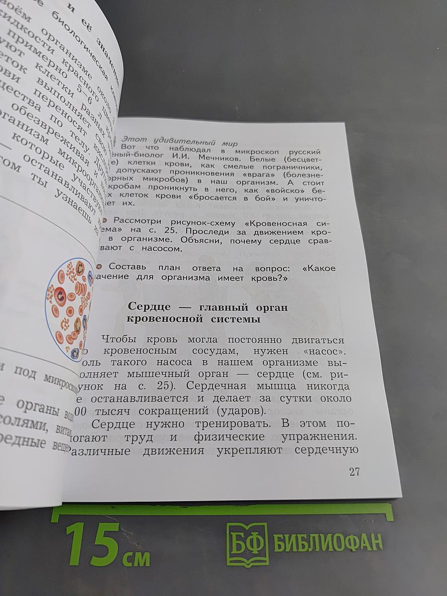 Окружающий мир. Учебник. 4 класс. Часть первая