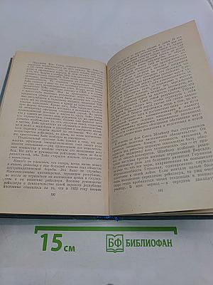 Я нашёл подлинную родину. Записки немецкого генерала