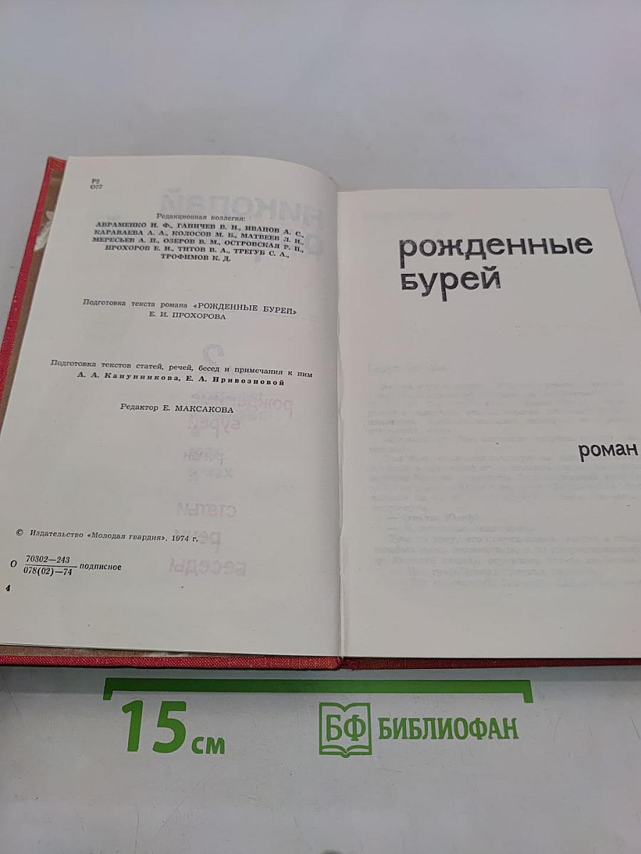 Рожденные бурей. Том 2