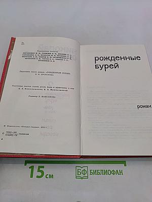 Рожденные бурей. Том 2